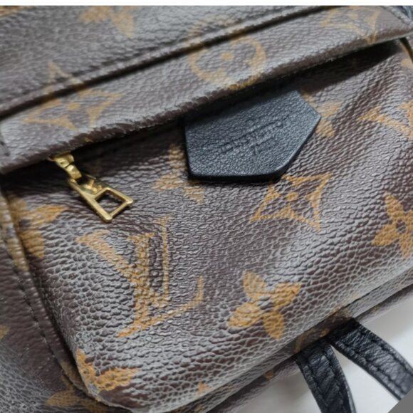 Mini Palm Springs Louis Vuitton Backpack - Picture 14 of 14